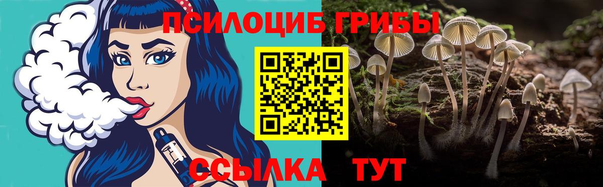 Псилоцибиновые грибы Psilocybe  Галлюциногенные грибы Psilocybine cubensis  Люберцы  Вход с VPN 